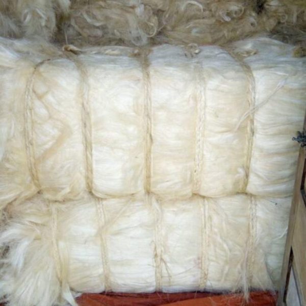 Grade 3L Sisal Fibre - Image 3