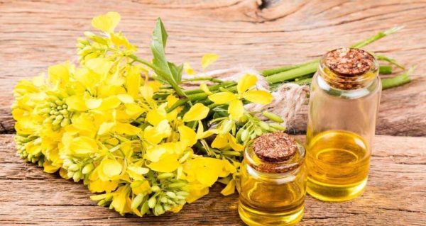 Refined Rapeseed Oil