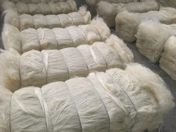 Sisal Fiber Grade 3L(3 Long) - Image 3