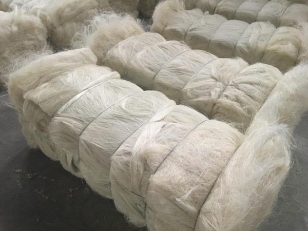 Sisal Fiber Grade 3L(3 Long) - Image 5