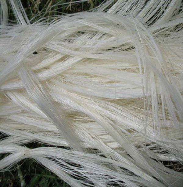 Sisal Fiber Ug Grade - Image 4