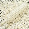 White Corn/Maize